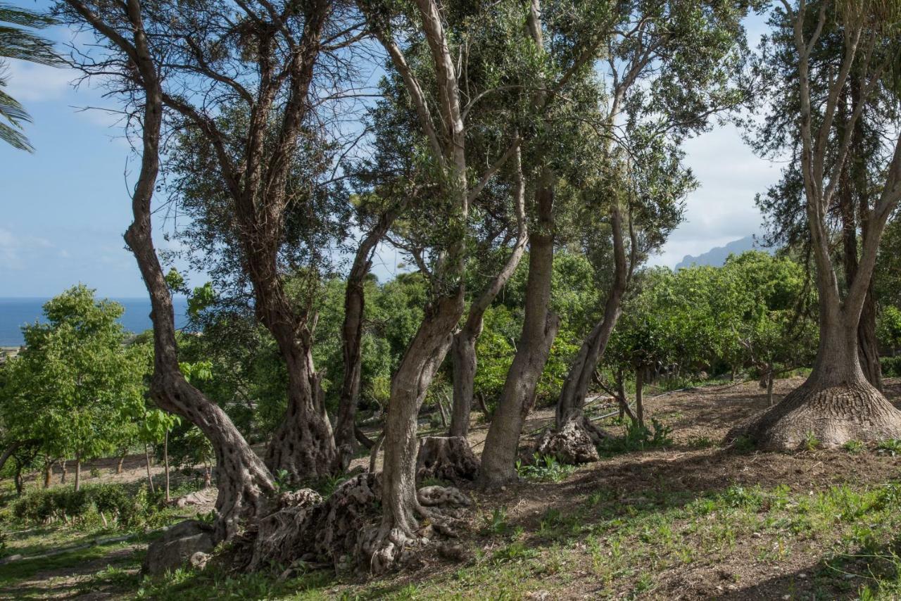 Villa Fontana Valderice Dış mekan fotoğraf