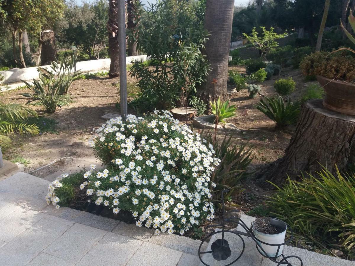 Villa Fontana Valderice Dış mekan fotoğraf